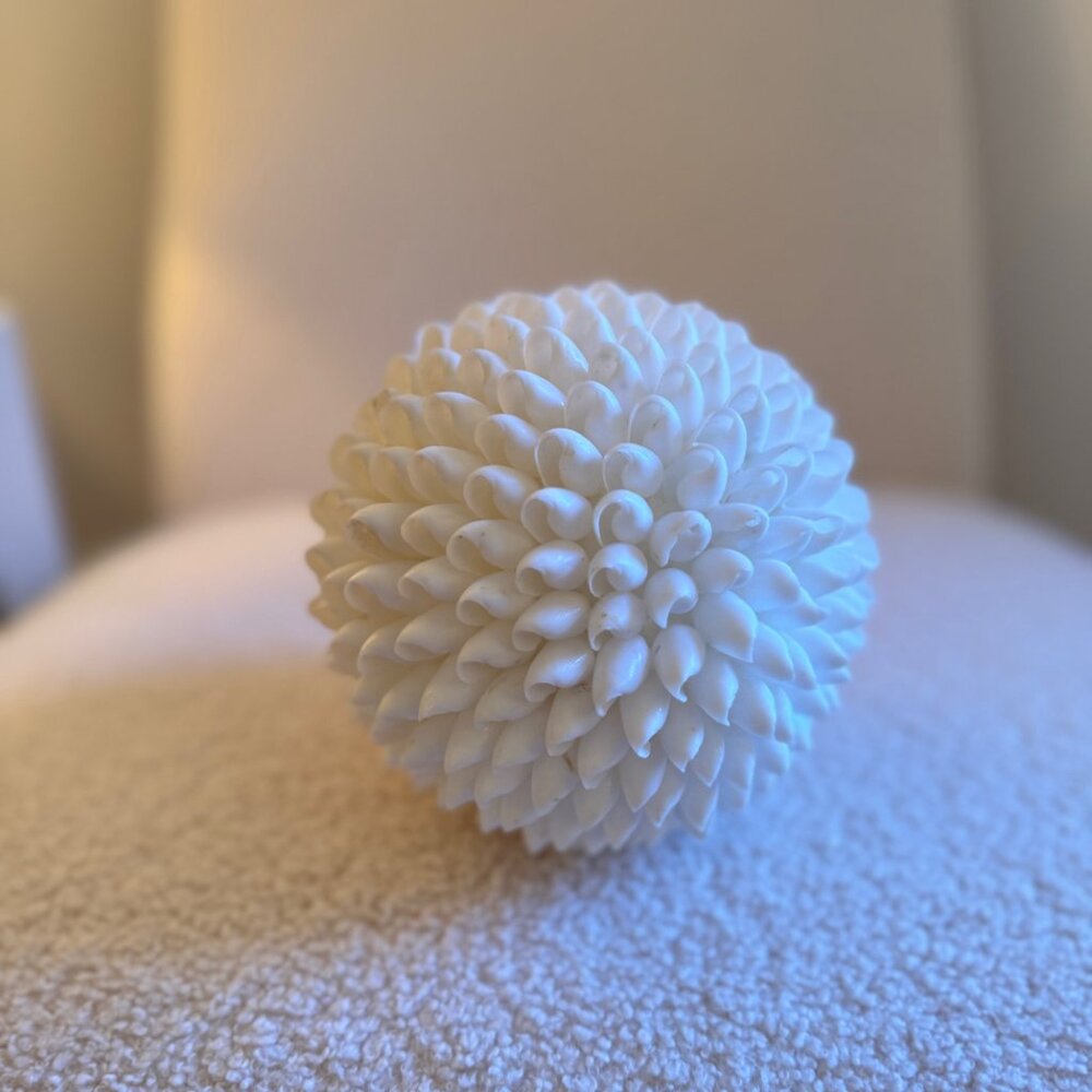 Large Decorative Shell Ball - Picture 2 of 4